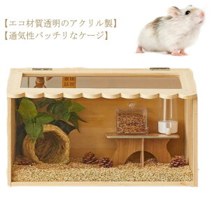 nX^[pP[W ybgpP[W _[`LpP[W ؑZ ؑ 傫 P[W AN nEX  P[W ؃Zbg nX^[pnEX  nX^[ P[W nX^