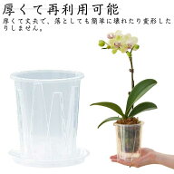 6鉢セット 胡蝶蘭専用 植木鉢 胡蝶蘭の植え替え 鉢 受皿付き 多穴型 通気性抜群 根腐れ防止 直径10cm 直…