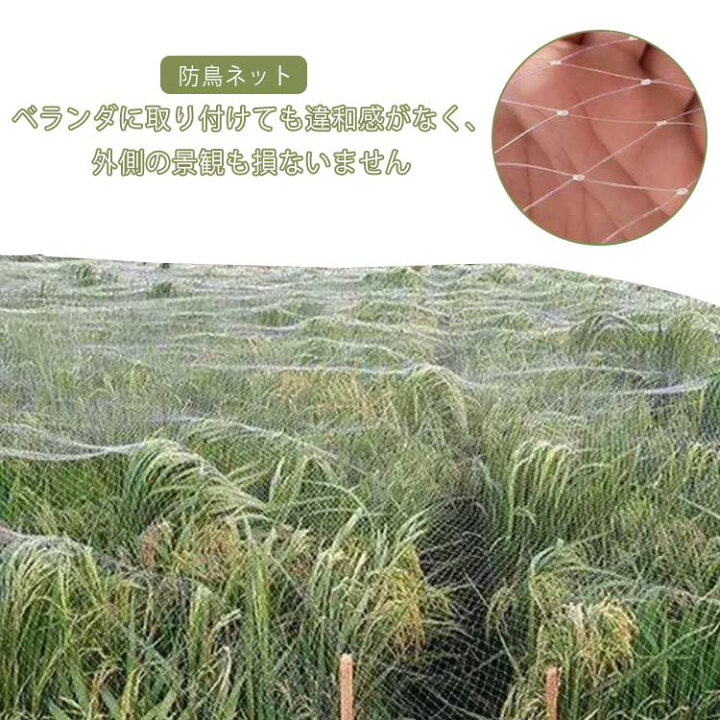 楽天市場】防鳥ネット 防鳥網 2×50m 3×30m 7m×30m 10m×10m カラス避け 