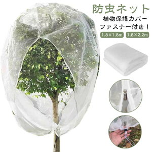 AیJo[ hlbg t@Xi[t Aی ؖ ؍͔| |plbg  Ap hlbg x_ DIY ʎ ݂ ƒ؉ _ ؉v^[p |pi Q 