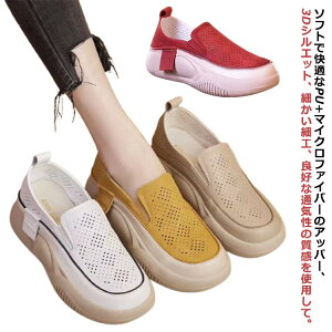  Xb| O V[Y  q[4cm Xj[J[ Xj[J[T_ fB[X C Xb| y y Xb|  C [q[ Xj[J[ gAbv 