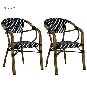 `FA 2rZbg i vW[ PLS-CH-2P 580xs600x820mm Z܂X^C