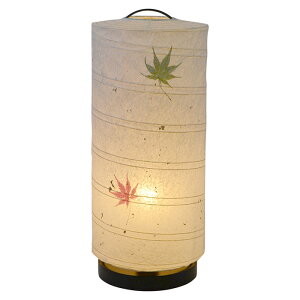 e[uCg a aurora ݂ dt 180xs180x430mm ʌfUC