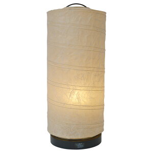 e[uCg a aurora _x[W dt 180xs180x430mm ʌfUC