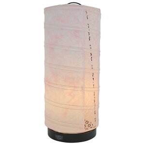 e[uCg a aurora ዷ×~sNi1ʁj dt 180xs180x430mm ʌfUC