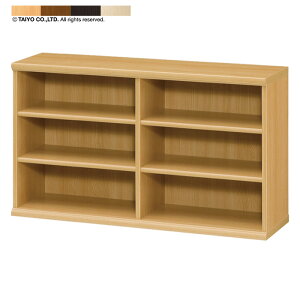�{�I �g���� �G�[�X���b�N �J���[���b�N AR6012 NC6012 ��116.5x���s31x����60cm ��m