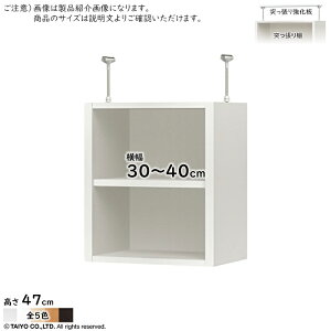 ˂I ˂苭 Zbg ORP g I[_[fXN[jbgp ORP I[vX 30`40xs29.5x47cm m