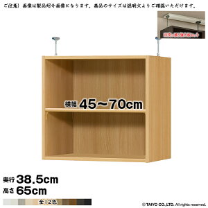 {I g 󒍐Y I[_[ G[XbN p ˂I Zbg W^Cv Y 45`70xs38.5x65cm m