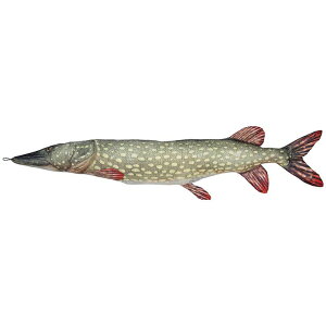 �N�b�V���� FISHES PIKE 195 Y-0506 1950mm �_���g��