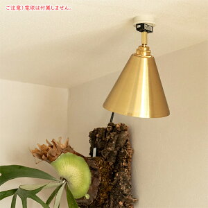 �Ɩ� �d���ʔ� ���A�� 1�� �X�|�b�g���C�g TC-1001-REAN ��185x���s185x����240mm TIC