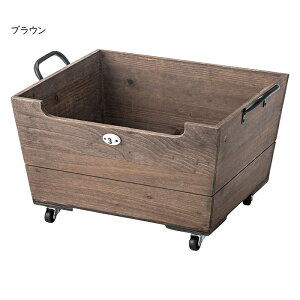 bN i LX^[t{bNX LFS-177 47xs35x27cm J