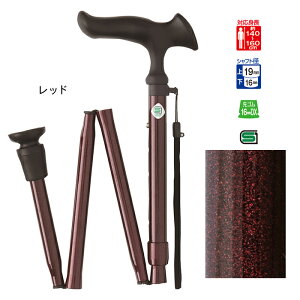  XebL 邪 E ܏ S 73.0`83.0cm tWz[