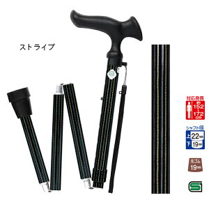  XebL 邪 I ܏ M 79.0`89.0cm tWz[