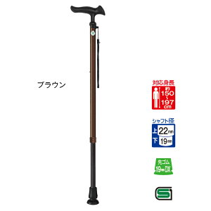  XebL 邪 E22 Lk 79.0`101.5cm tWz[