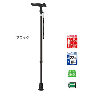  XebL 邪 E22 Lk 79.0`101.5cm tWz[