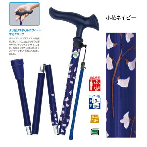  XebL 邪 t@2 ܏ 75.5 ` 85.5cm tWz[