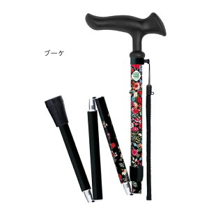  XebL 邪 t@2 ܏ 75.5`85.5cm tWz[