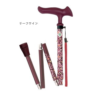  XebL 邪 t@2 ܏ 75.5`85.5cm tWz[