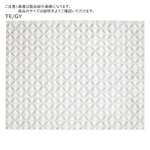 J[ybg jP xM[ ]ˊ6 ` 261x352cm v[x