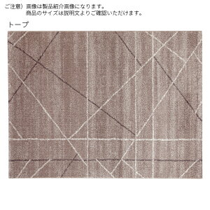O grX xM[ 240x340cm fB[pX