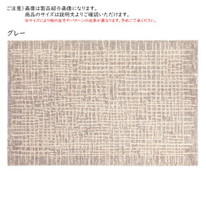 ���O ���R �g���R�� 160x230cm �f�B�[�p�X