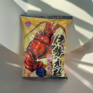 ɐу|eg`bv@ɐCV@|eg`bvX@@XibNَq@@܂݁@CV@MUMU|e`