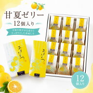 甘夏ゼリー 12個入り 静岡 熱海 お土産個包装 夏のお土産 ゼリー 贈り物