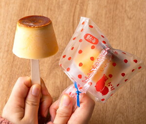 MCṽACX@8yMCvzyⓀցzy①iƂ̓szΕ ΕMtg N