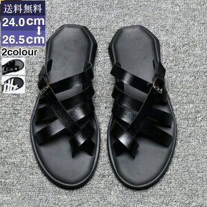 {}T_ Y r[`T_ tbg RtH[gT_ y C v[ s ][g gx W[p? [V[Y JWA AEghA Ȃ ₷