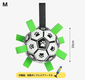 pTbJ[{[ p   I` Ct p {[ f^PA ybgߋ ߋ XgXU ybg  V d  ybg ybgpi 