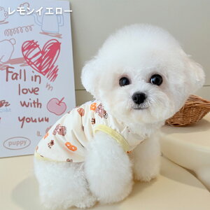 y 悯 cool ̕ z  t ڐG⊴ h   MǑ΍ ybg  ObY 2025 t  vg ^C_C tBA΍  m[X[u  ĕ  ̕