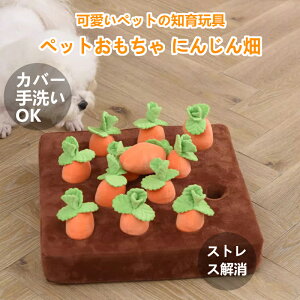 ノーズワーク にんじん ペットおもちゃ ペット用品 知育玩具 ぬいぐるみ 人参 犬 きのこ いちご いぬ 猫 ねこ 性格改善 運動不足 嗅覚訓練 ストレス解消 犬歯磨き 食いちぎる対策 知育 ペッ