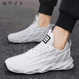 jOV[Y Xj[J[ Y fB[X X|[cV[Y EH[LO  V[Y jp Ȃ y ʊw ʋ   2025 V