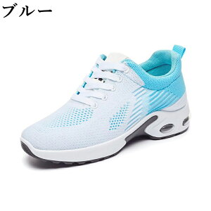 Xj[J[ fB[X Y jOV[Y GA[NbV X|[c EH[LO WMO y ʋC h r JWA bV ʊw ʋ 2025 V