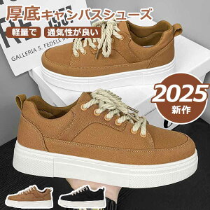 LoXV[Y Xj[J[ Y fB[X  X|[c LoX V[Y q[ Cq[ ʋC Xj[J[C  ₷ ʊw Ȃ Xb| L