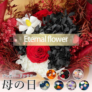 ̓ vUo[ht[ i n[ggsA[ o   ZX̂ a v[g  FB   ޏ t[Mtg LO uU[ht[ AW