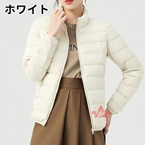 y200~N[|zzzCg_E _EWPbg fB[X h y X VGbg V[g H ~ M L  킢 Vv RpNg g 㒅 R[g l 