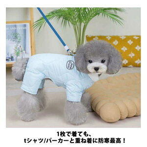 lr xXg `bL ȃxXg  ̕ ^ m ۉ 畆ی h 킢 Lp