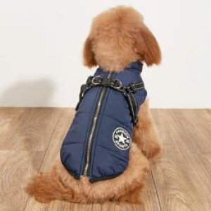  n[lX ̌^  hbOEFA n[lXt ۉ h h  H ~ g n[lXt_E WPbg wJ t@Xi[ ₷  _E N  t