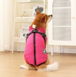  n[lX ̌^  hbOEFA n[lXt ۉ h h  H ~ g n[lXt_E WPbg wJ t@Xi[ ₷  _E N  t