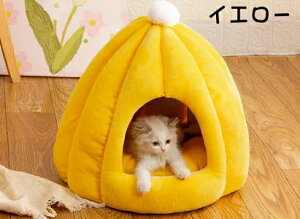 h[nEX ybgxbh h[^ xbh h[ nEX J{` ybgeg NbVt ybgpQ 7F@3TCYybgpiۉh 􂦂 ΍ ~  