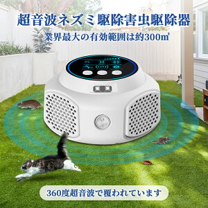 yyVX[p[SALE艿z@ P5{zlY~ 쏜 g dg Q쏜  lY~悯 ȃGl 4Xs[J[ É  L q ybgS 360xΉ 24ԘAgp  䏊 q