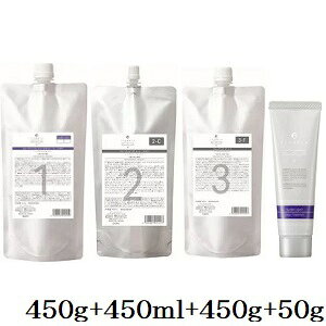 f~ t[fBA ST X[NCg 1 450g + ST 2-C 450ml + ST 3-F 450g + 4 50g