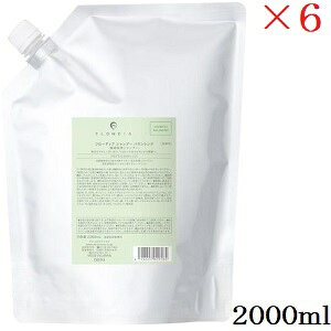 f~ t[fBA Vv[ oVO 2000ml tB l֗p ×6Zbg