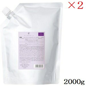 f~ t[fBA XLv g[gg 2000g tB l֗p ×2Zbg (򕔊Oi)