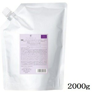 f~ t[fBA XLv g[gg 2000g tB l֗p (򕔊Oi)