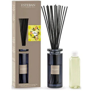 GXeo CjV^u[P fBt[U[ e[_O[