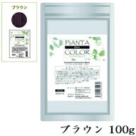 テクノエイト ピアンタカラー 100g ブラウン (医薬部外品)