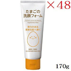 AWG[ ܂̐tH[ 170g ×48Zbg