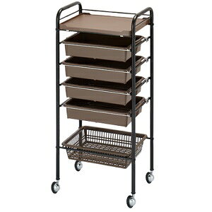 C-431L [Zbg䃍O|WV c[guE